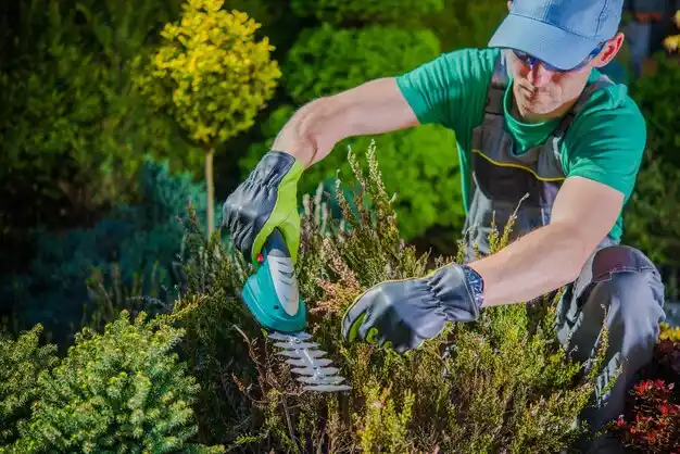 landscaping services Pawnee City